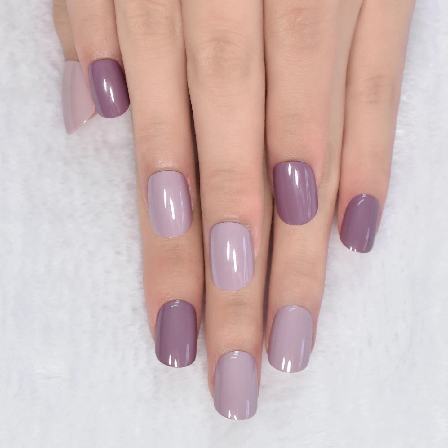 Lilac crush